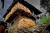 Old Manali - Himalayan Style of Construction, this nice village on the kullu valley is inesorably decaying